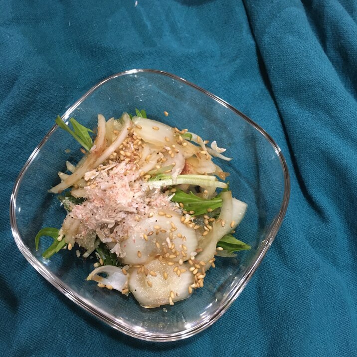 玉ねぎと水菜のおかかサラダ